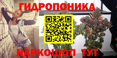 соль ск Аргун