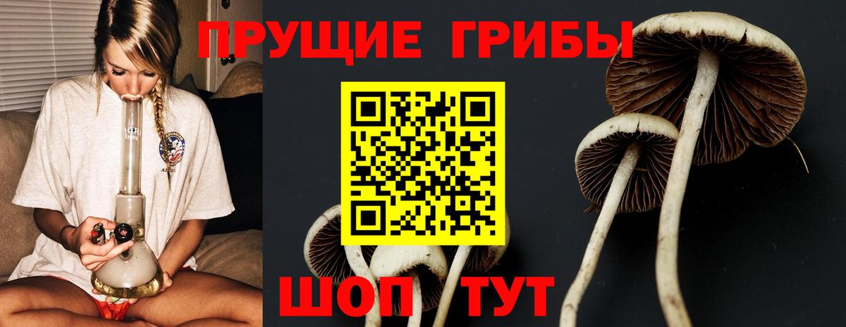 Псилоцибиновые грибы мицелий Всеволожск